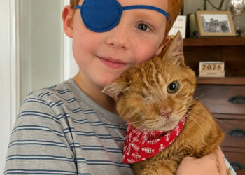 My Son Brought Home a One-Eyed Ginger Cat Because He Said They Matched – What We Discovered Under That Cat’s Collar Two Days Later Brought Us to Our Knees