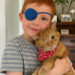 My Son Brought Home a One-Eyed Ginger Cat Because He Said They Matched – What We Discovered Under That Cat’s Collar Two Days Later Brought Us to Our Knees