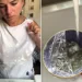 Why Did My Kitchen Suddenly Become a Fruit Fly Nightclub… and How Did I End the Party With Just Dish Soap and Plastic Wrap?